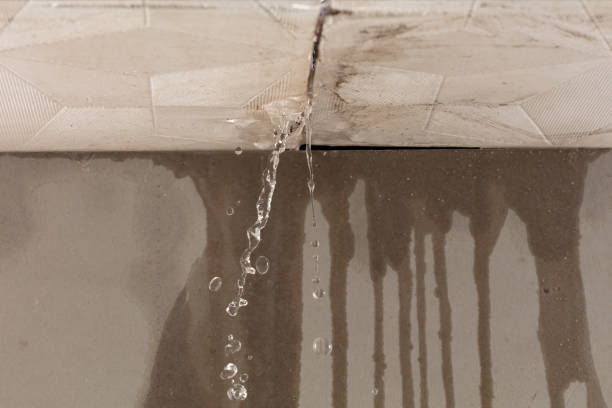 Professional Water Damage Inspection technician working in Point Reyes Station, CA